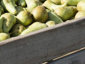 Appelhof I Birnen I Kiste