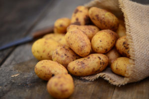 Appelhof | Kartoffeln | Kartoffelsack