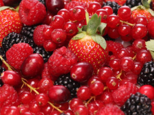 Appelhof | Frucht | Beeren