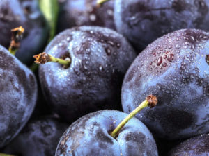 Appelhof | Zwetschgen | Frisch | Bio