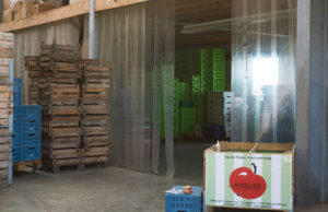 Apfelfest | Lager | Apfel | Appelhof | Windeck | Kühlhaus