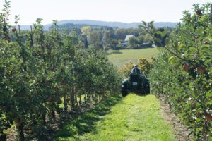 Traktorfahrt | Apfelfest | Appelhof