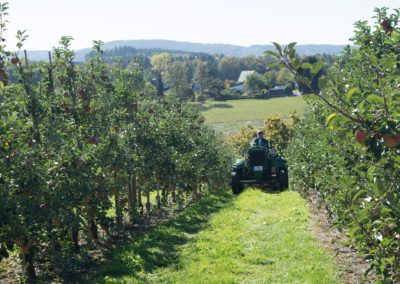 Traktorfahrt | Apfelfest | Appelhof