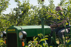 Traktorfahrt | Apfelfest | Appelhof