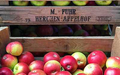 Neue Ernte 2021 – köstliche Äpfel!